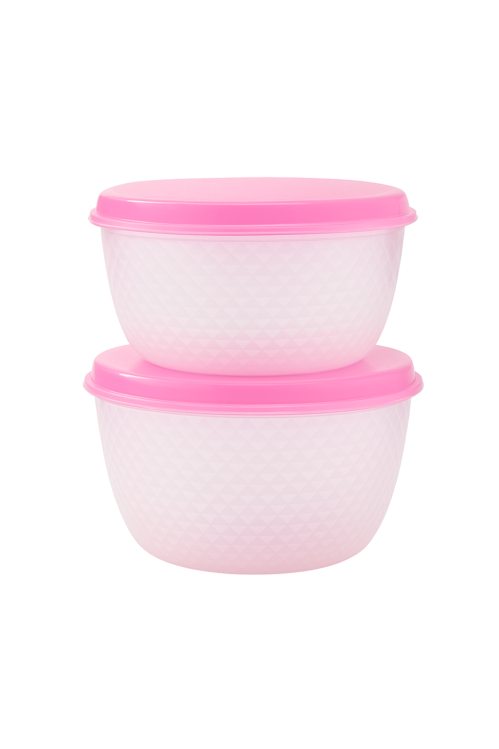 Plastic Food Storage Bowl (2-Piece)